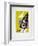 AF 1953 - Galerie Berggruen-Georges Braque-Framed Collectable Print