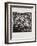 AF 1954 - Toros en Vallauris-Pablo Picasso-Framed Collectable Print