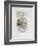 AF 1956 - Galerie 65-Pablo Picasso-Framed Collectable Print