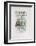 AF 1956 - Galerie 65-Pablo Picasso-Framed Collectable Print