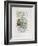 AF 1956 - Galerie 65-Pablo Picasso-Framed Collectable Print