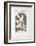 AF 1956 - Galerie Maeght Sur 4 Murs-Georges Braque-Framed Collectable Print