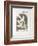 AF 1956 - Galerie Maeght Sur 4 Murs-Georges Braque-Framed Collectable Print