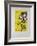 AF 1957 - Galerie Maeght-Marc Chagall-Framed Collectable Print