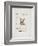 AF 1958 - Picasso céramiques II-Pablo Picasso-Framed Collectable Print