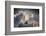 Affection-Janet Slater-Framed Photographic Print