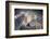 Affection-Janet Slater-Framed Photographic Print