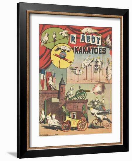Affiche R.Abdy et ses kakatoës-null-Framed Giclee Print