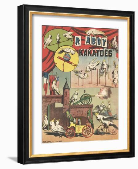 Affiche R.Abdy et ses kakatoës-null-Framed Giclee Print