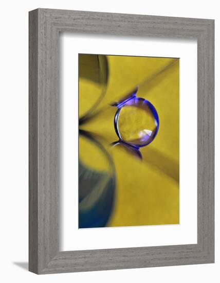 Affix-Heidi Westum-Framed Photographic Print