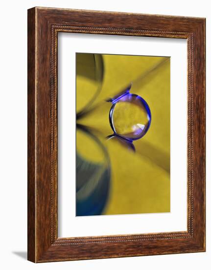 Affix-Heidi Westum-Framed Photographic Print