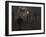 Afghan Boy Runs with Balloons to Join His Friends in Dusty Alley in Kabul, Afghanistan-null-Framed Photographic Print