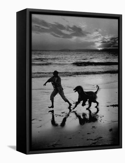 Afghan Dog Roaming across Beach with Girl at Sundown, During Preparation for Westminister Show-George Silk-Framed Premier Image Canvas