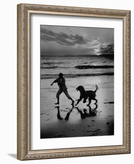 Afghan Dog Roaming across Beach with Girl at Sundown, During Preparation for Westminister Show-George Silk-Framed Photographic Print