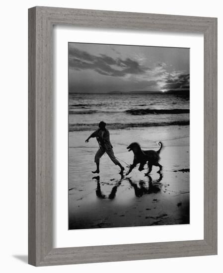 Afghan Dog Roaming across Beach with Girl at Sundown, During Preparation for Westminister Show-George Silk-Framed Photographic Print