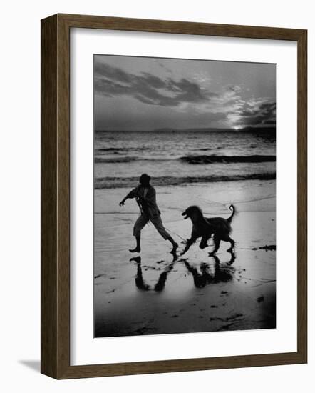 Afghan Dog Roaming across Beach with Girl at Sundown, During Preparation for Westminister Show-George Silk-Framed Photographic Print