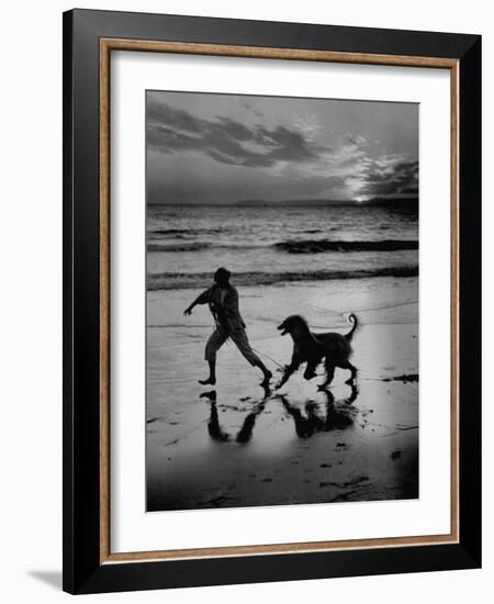 Afghan Dog Roaming across Beach with Girl at Sundown, During Preparation for Westminister Show-George Silk-Framed Photographic Print