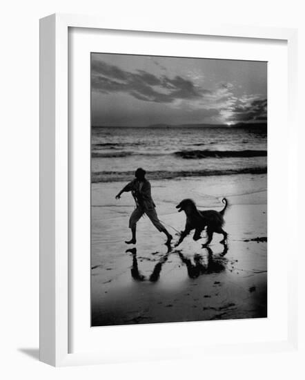 Afghan Dog Roaming across Beach with Girl at Sundown, During Preparation for Westminister Show-George Silk-Framed Photographic Print