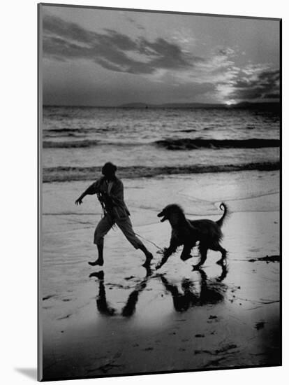 Afghan Dog Roaming across Beach with Girl at Sundown, During Preparation for Westminister Show-George Silk-Mounted Photographic Print