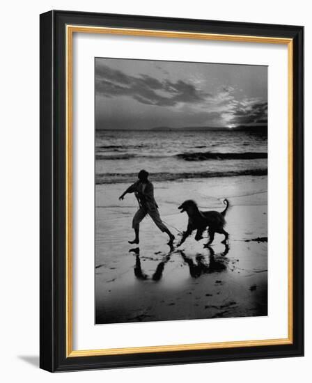 Afghan Dog Roaming across Beach with Girl at Sundown, During Preparation for Westminister Show-George Silk-Framed Photographic Print