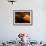 Afghan Fruit Vendor Waits for Customer at a Local Market in Kabul, Afghanistan-null-Framed Photographic Print displayed on a wall