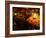 Afghan Fruit Vendor Waits for Customer at a Local Market in Kabul, Afghanistan-null-Framed Photographic Print