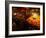 Afghan Fruit Vendor Waits for Customer at a Local Market in Kabul, Afghanistan-null-Framed Photographic Print