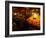 Afghan Fruit Vendor Waits for Customer at a Local Market in Kabul, Afghanistan-null-Framed Photographic Print