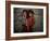 Afghan Girl Holds Her Younger Sister in Nangarhar Province, East of Kabul, Afghanistan-null-Framed Photographic Print