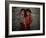 Afghan Girl Holds Her Younger Sister in Nangarhar Province, East of Kabul, Afghanistan-null-Framed Photographic Print