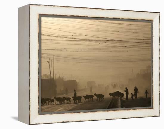 Afghan Herders Lead Their Livestodk Across a Road in Kabul, Afghanistan, Monday, Oct 9, 2006-Rodrigo Abd-Framed Premier Image Canvas