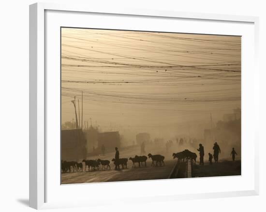 Afghan Herders Lead Their Livestodk Across a Road in Kabul, Afghanistan, Monday, Oct 9, 2006-Rodrigo Abd-Framed Photographic Print