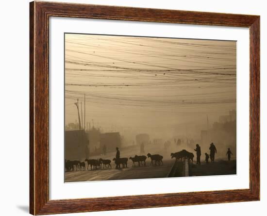 Afghan Herders Lead Their Livestodk Across a Road in Kabul, Afghanistan, Monday, Oct 9, 2006-Rodrigo Abd-Framed Photographic Print