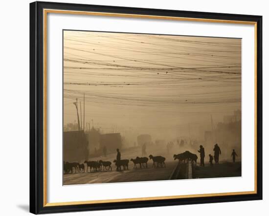 Afghan Herders Lead Their Livestodk Across a Road in Kabul, Afghanistan, Monday, Oct 9, 2006-Rodrigo Abd-Framed Photographic Print