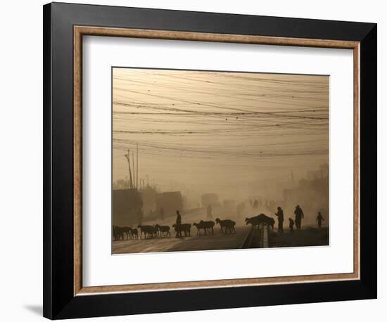 Afghan Herders Lead Their Livestodk Across a Road in Kabul, Afghanistan, Monday, Oct 9, 2006-Rodrigo Abd-Framed Photographic Print