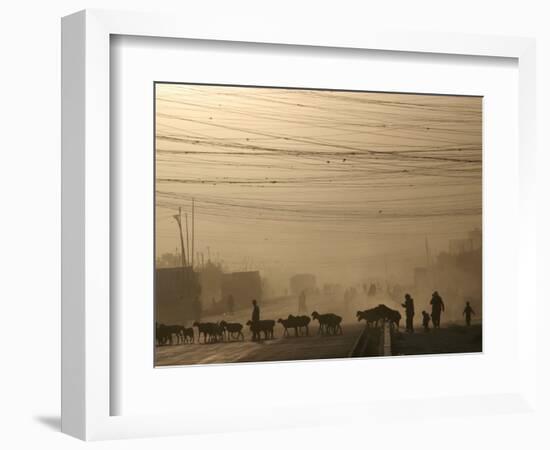 Afghan Herders Lead Their Livestodk Across a Road in Kabul, Afghanistan, Monday, Oct 9, 2006-Rodrigo Abd-Framed Photographic Print