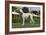 Afghan Hound 08-Bob Langrish-Framed Photographic Print