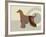 Afghan Hound Dog-Adefioye Lanre-Framed Giclee Print