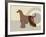 Afghan Hound Dog-Adefioye Lanre-Framed Giclee Print