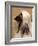 Afghan Hound Profile-Adriano Bacchella-Framed Photographic Print