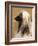 Afghan Hound Profile-Adriano Bacchella-Framed Photographic Print