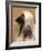 Afghan Hound Profile-Adriano Bacchella-Framed Photographic Print