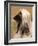 Afghan Hound Profile-Adriano Bacchella-Framed Photographic Print