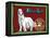 Afghan Hound-Cathy Cute-Framed Premier Image Canvas