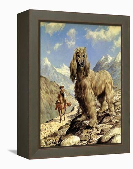 Afghan Hound-Eric Tansley-Framed Premier Image Canvas