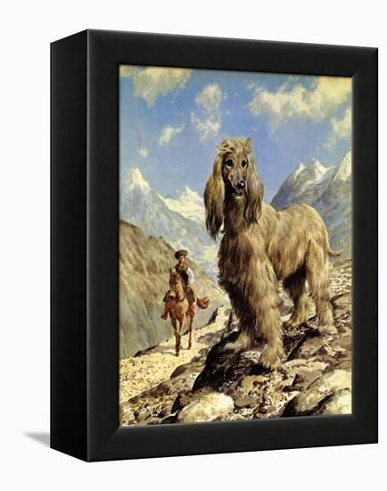 Afghan Hound-Eric Tansley-Framed Premier Image Canvas