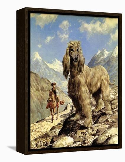 Afghan Hound-Eric Tansley-Framed Premier Image Canvas