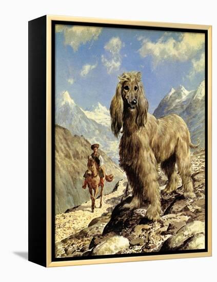 Afghan Hound-Eric Tansley-Framed Premier Image Canvas