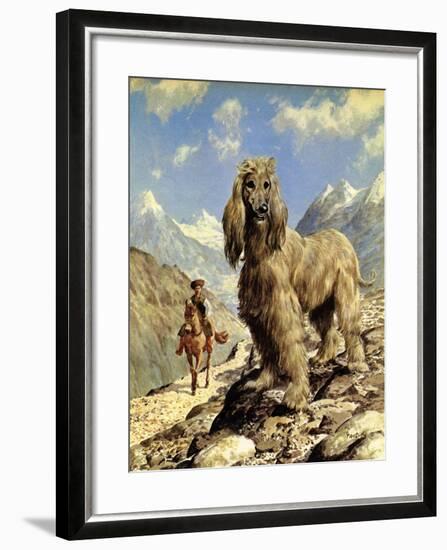 Afghan Hound-Eric Tansley-Framed Giclee Print