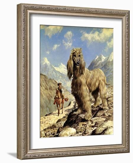 Afghan Hound-Eric Tansley-Framed Giclee Print